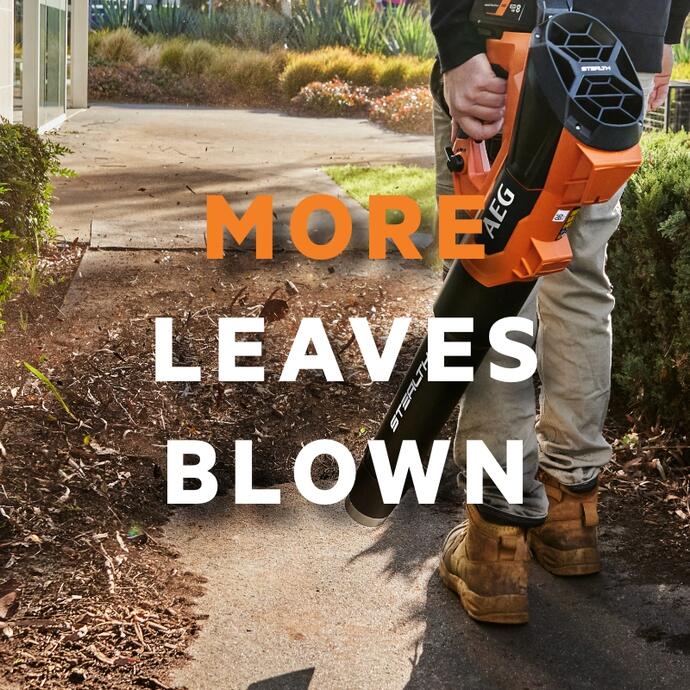 More leaves blown using an AEG FUSION leaf blower